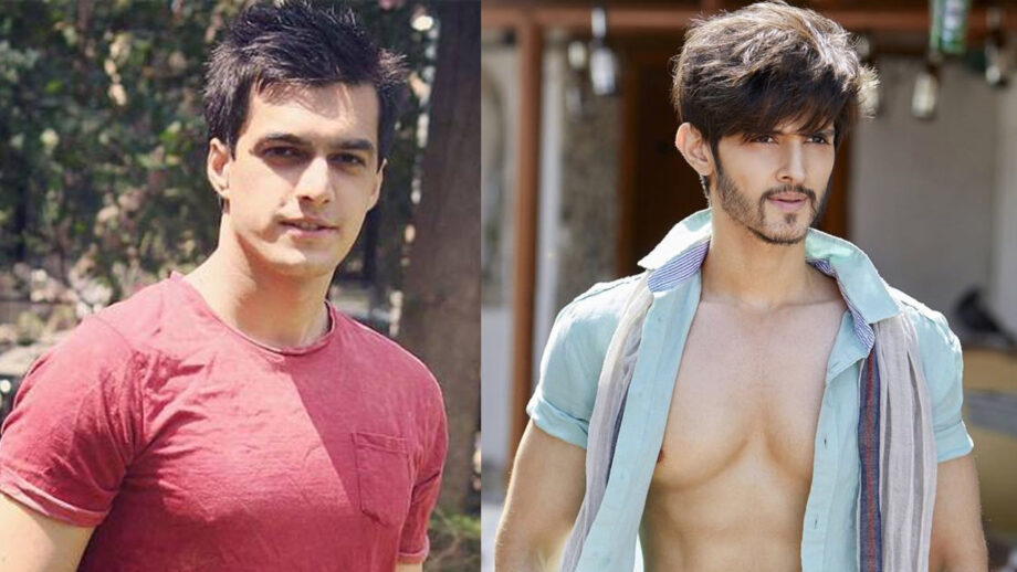 Yeh Rishta Kya Kehlata Hai Fame Mohsin Khan Or Rohan Mehra: Which Star Has the Perfect Ripped Hot Body?