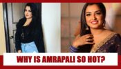 Amrapali Dubey In Saree, Crop Tops Or Off Shoulder Outfit: What Defines Her Hotness Perfectly?