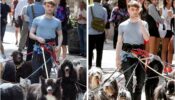 And That’s How Daniel Radcliffe Keeps Fans At Bay While Taking A Stroll In The City: Take A Look