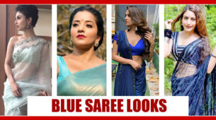 Anita Hassanandani, Monalisa, Mouni Roy, Surbhi Chandna: Top Hottest TV Actresses Who Rocked The Blue Saree To Perfection