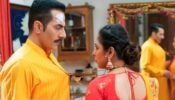 Anupamaa Written Update S01 Ep160 14th January 2021: Shah family to celebrate Makar Sankranti