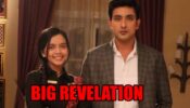 Apna Time Bhi Aayega spoiler alert: Veer reveals about Rani being his wife