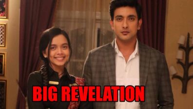 Apna Time Bhi Aayega spoiler alert: Veer reveals about Rani being his wife