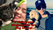 Ariana Grande To Billie Eilish: 5 Hollywood Singers Who Are Also Dog Lovers