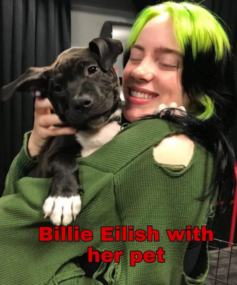 Ariana Grande To Billie Eilish: 5 Hollywood Singers Who Are Also Dog Lovers - 0