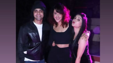 Awesome Threesome: Unseen rare party moment of Sumedh Mudgalkar chilling with hot babes Mallika Singh and Shivya Pathania goes viral on social media