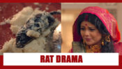 Barrister Babu Spoiler Alert: Sampoorna plans ‘rat drama’ during her Paheli Rasoi