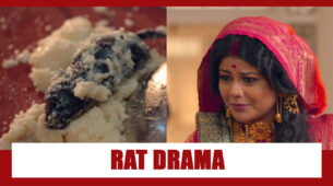 Barrister Babu Spoiler Alert: Sampoorna plans ‘rat drama’ during her Paheli Rasoi