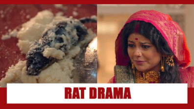 Barrister Babu Spoiler Alert: Sampoorna plans ‘rat drama’ during her Paheli Rasoi