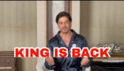 Big News For Fans: Shah Rukh Khan is back in action, shares video