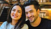 Bigg Boss 14: Aly Goni misses Jasmin Bhasin