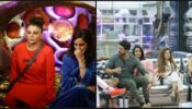Bigg Boss 14 Spoiler Alert Day 76: Aly and Rakhi clash on the first day of the New Year