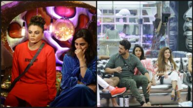 Bigg Boss 14 Spoiler Alert Day 76: Aly and Rakhi clash on the first day of the New Year