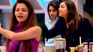 Bigg Boss 14 spoiler alert Day 78: Rubina Dilaik calls Arshi Khan fake