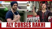 Bigg Boss 14 Spoiler Alert Day 83: OMG!! Aly Goni curses Rakhi Sawant