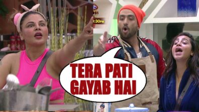 Bigg Boss 14 spoiler alert Day 86: Aly Goni and Rakhi Sawant fight, Aly says, ‘tera pati bhi nai hai idhar, gayab hai woh’