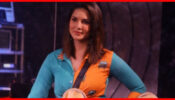 Bigg Boss 14 Spoiler Alert: Doc takes stock of the relationships in Bigg Boss!