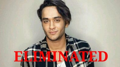 Bigg Boss 14: Vikas Gupta gets ELIMINATED