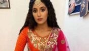 Choti Sarrdaarni spoiler alert: Meher takes a stand against domestic violence