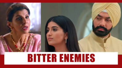 Choti Sarrdaarni Spoiler Alert: OMG!! Kulwant and Meher’s families to become bitter enemies