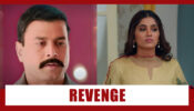 Choti Sarrdaarni Spoiler Alert: OMG!! Tarkash returns to seek revenge against Meher