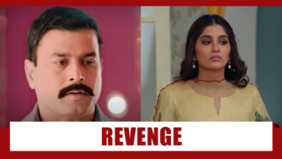 Choti Sarrdaarni Spoiler Alert: OMG!! Tarkash returns to seek revenge against Meher