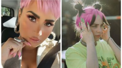 Demi Lovato To Billie Eilish: Which Diva Has The Hottest Pink Hair Style?