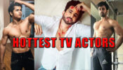 Dheeraj Dhoopar, Pearl V Puri, Siddharth Nigam: Top 3 Hottest TV Stars Of 2020