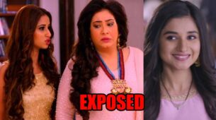 Guddan Tumse Na Ho Payega spoiler alert: Niya and Pushpa get EXPOSED in front of Choti Guddan