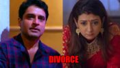 Hamariwali Good News spoiler alert: Mukund decides to DIVORCE Renuka