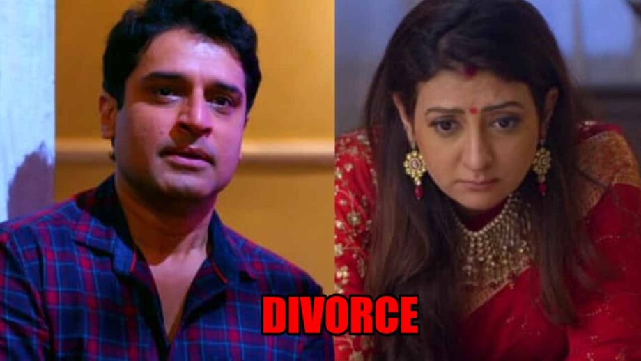 Hamariwali Good News spoiler alert: Mukund decides to DIVORCE Renuka