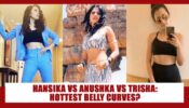 Hansika Motwani Vs Anushka Shetty Vs Trisha Krishnan: South actress with HOTTEST belly curves? Vote Now