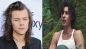 Harry Styles Or Shawn Mendes: Which Actor Aces His Long Hair To Perfection?