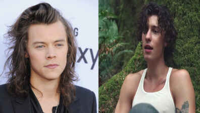 Harry Styles Or Shawn Mendes: Which Actor Aces His Long Hair To Perfection?