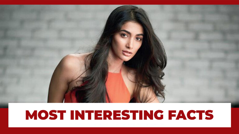 Have A Look At Some Of The Most Interesting Facts About Hot Pooja Hegde: You Will Be Shocked To Know
