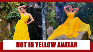 Have You Seen Rashami Desai This Hot Avatar In Yellow? Take A Look