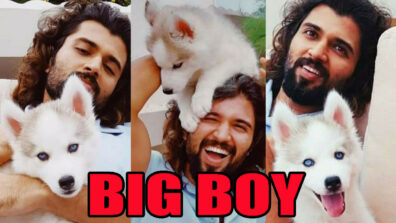 Have You Seen Vijay Deverakonda’s Big Boy ‘STORM Deverakonda’ Yet? Take A Look Here