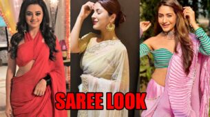 Helly Shah, Shehnaaz Gill To Surbhi Chandna: Divas Who Aced The Saree Look To Perfection