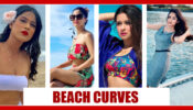 Hina Khan, Nia Sharma, Avneet Kaur, Jannat Zubair: Which Diva Has the Hottest Beach Curves?