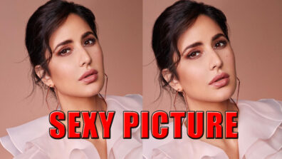 Hotness Alert! Katrina Kaif Has Just Raised The Temperature With Her Latest Instagram Pic