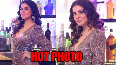 Hotness Alert: Kundali Bhagya actress Shraddha Arya shares latest hot photo in a shimmery bodycon dress