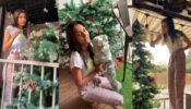 In Video: Erica Fernandes’s special Christmas life hack video is just wow