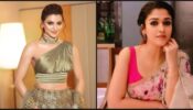 Inspector Avinash: Has Urvashi Rautela replaced South superstar Nayanthara in the movie?