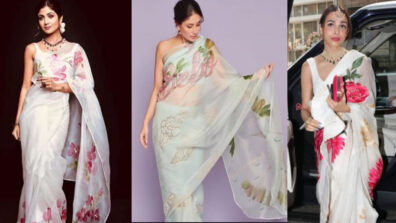 Kareena Kapoor, Malaika Arora Or Shilpa Shetty: Which Hot Diva Had The Hottest Looks In White Organza Saree?