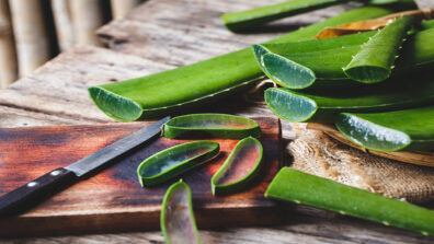 Key factors and uses of Aloe Vera