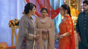 Kundali Bhagya Written Update Ep871 14th January 2021: Karina scolds Preeta for accusing Akshay