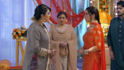 Kundali Bhagya Written Update Ep871 14th January 2021: Karina scolds Preeta for accusing Akshay