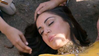 Kundali Bhagya Written Update Ep881 28th January 2021: Preeta and Srishti meet with an accident