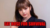 Haha lol!!! Blackpink Lisa Would Eat Rose For Her Survival: See Here