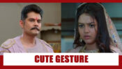 Molkki Spoiler Alert: Virendra’s cute gesture for Purvi